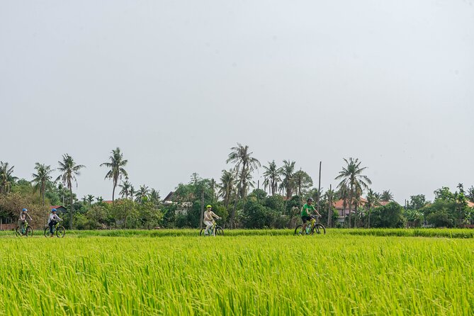 Siem Reap Countryside Sunset Bike Tour / E-Bike or Tuk Tuk - Key Highlights You Should Actually Care About