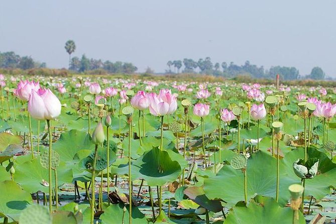 Siem Reap Countryside Sunset Jeep Tour - Half-day - Price and value: is $50 per person worth it?
