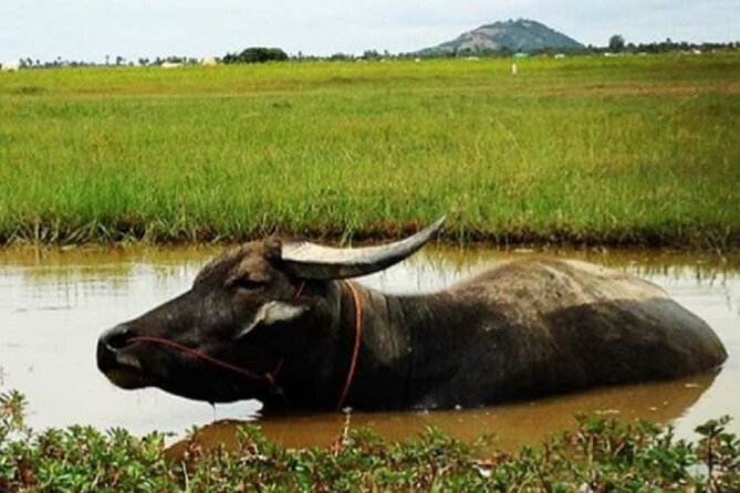 Siem Reap Countryside Sunset Jeep Tour - Half-day - Should you book the Siem Reap Countryside Sunset Jeep Tour?