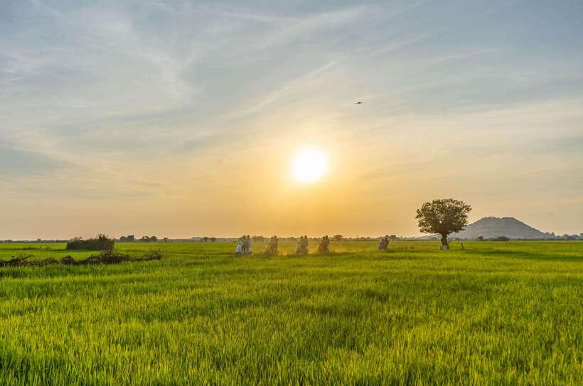Siem Reap Countryside Sunset Vespa Tour or Tuk Tuk - A countryside half-day from Siem Reap that feels personal
