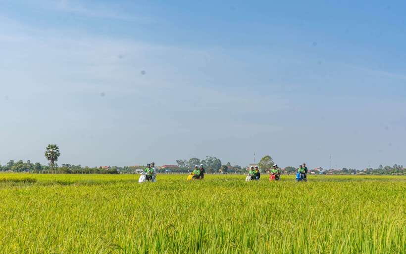 Siem Reap Countryside Sunset Vespa Tour or Tuk Tuk - Who should book, and who should skip this sunset tour