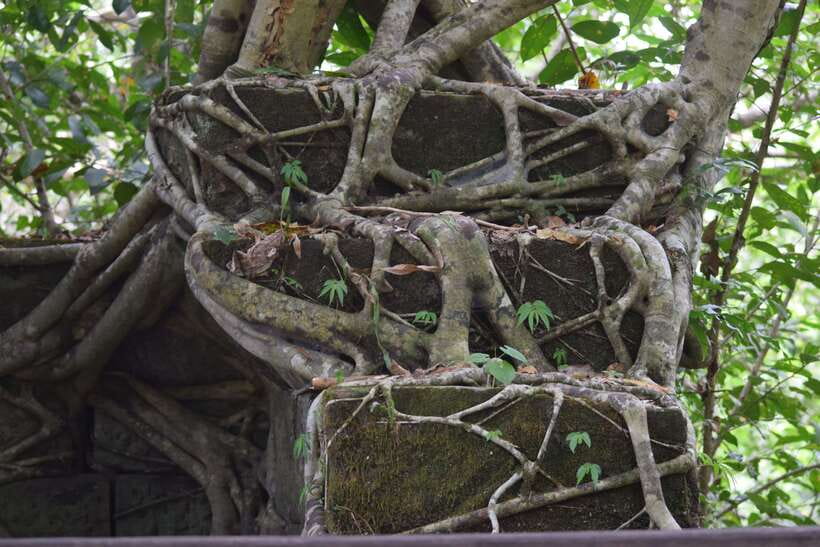 Siem Reap: Day Trip to Koh Ker and Beng Mealea Temples - Who this tour suits best, and who might want a different plan