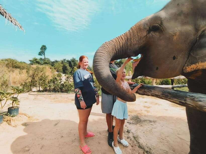 Siem Reap: Elephant Sanctuary Included Hotel Pickup Drop-off - Key highlights that make this tour click