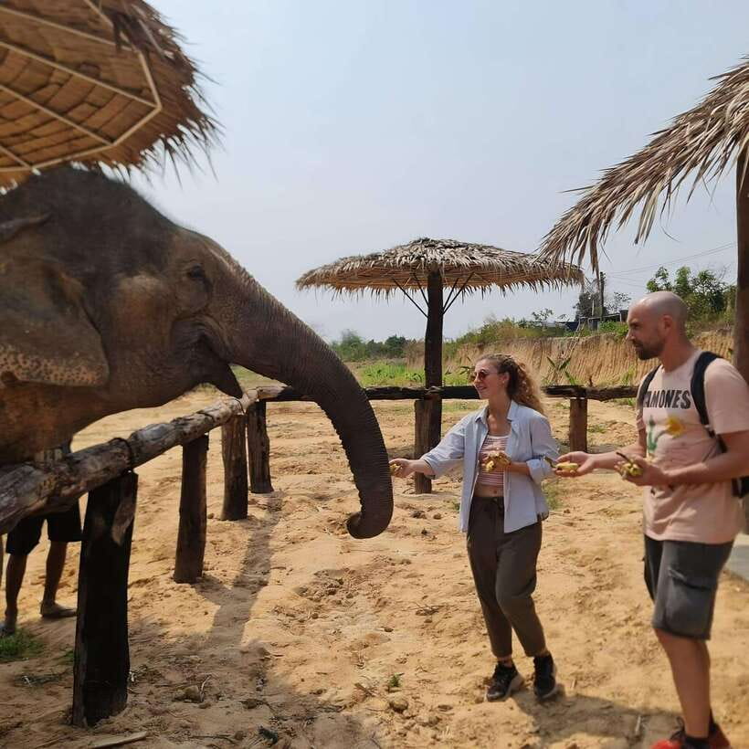 Siem Reap: Elephant Sanctuary Included Hotel Pickup Drop-off - What This Siem Reap Elephant Sanctuary Tour Really Delivers