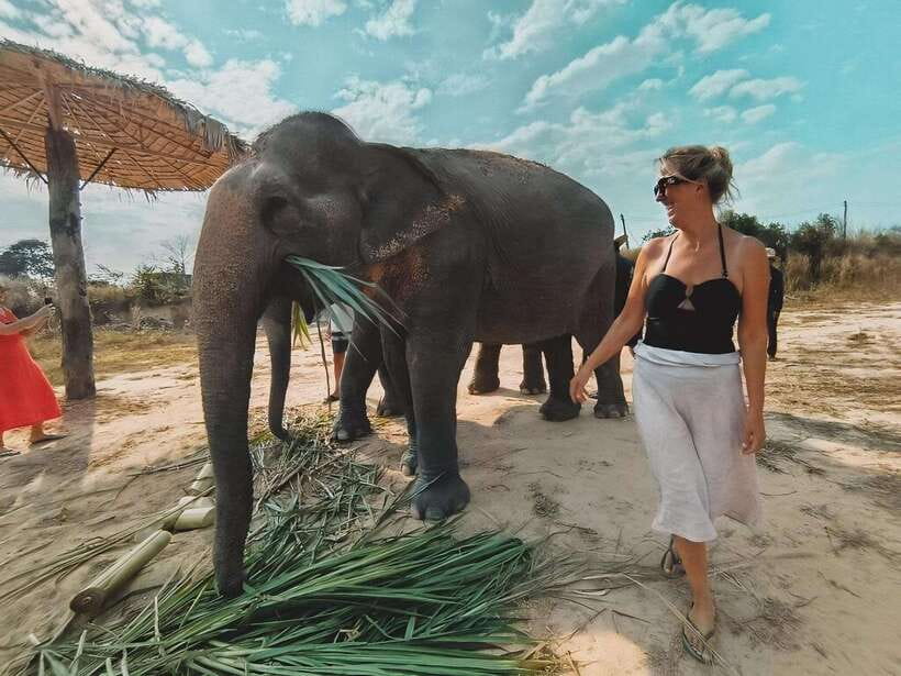 Siem Reap: Elephant Sanctuary Included Hotel Pickup Drop-off - The Mud Bath: Messy Fun With Health Lessons