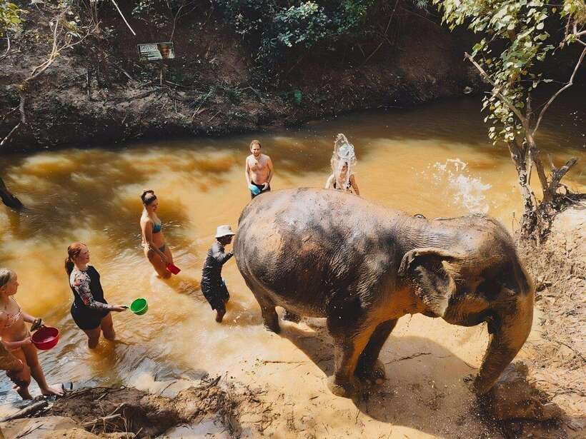 Siem Reap: Elephant Sanctuary Included Hotel Pickup Drop-off - Bathing Session After the Mud: Cooling Off and Staying Comfortable