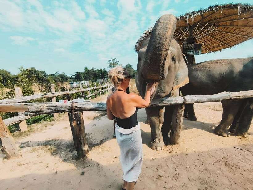 Siem Reap: Elephant Sanctuary Included Hotel Pickup Drop-off - The Included Break: Seasonal Fruits, Water, and Coffee