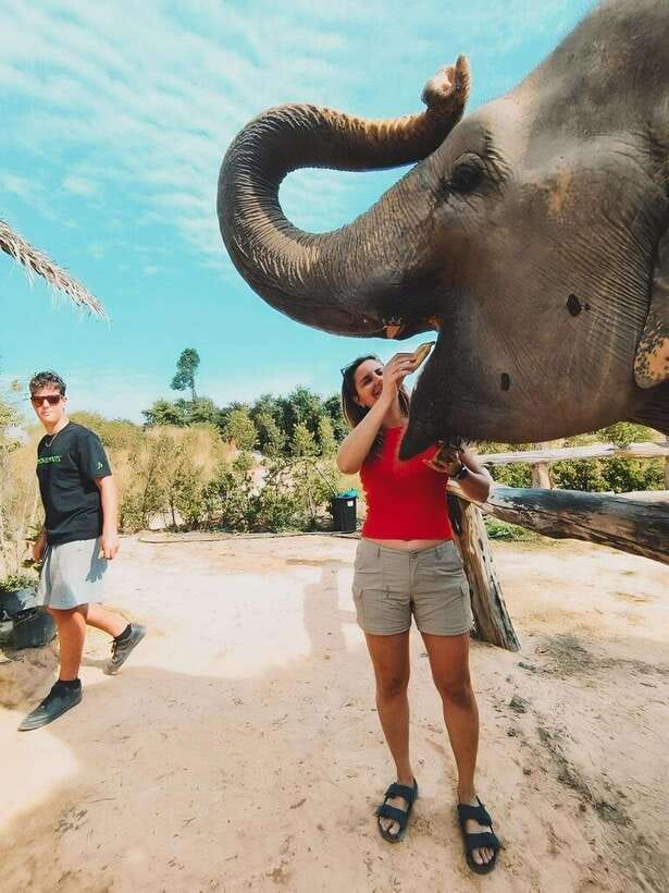 Siem Reap: Elephant Sanctuary Included Hotel Pickup Drop-off - What to Bring (So You Do Not Spend the Day Regretting It)