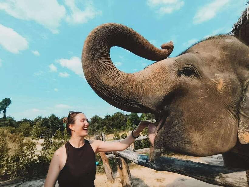 Siem Reap: Elephant Sanctuary Included Hotel Pickup Drop-off - Hotel Pickup and the Real Timing of Your 4-Hour Tour