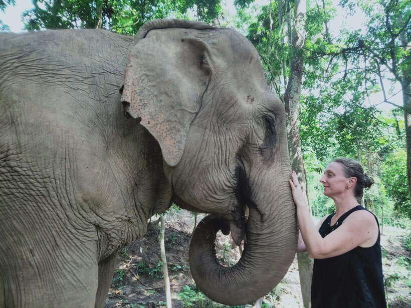 Siem Reap: Elephants & Apopo Rat Demining Private Trip - Key highlights worth planning for