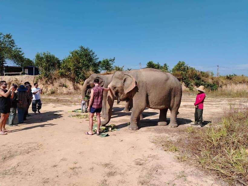 Siem Reap: Elephants & Apopo Rat Demining Private Trip - Morning vs afternoon order, which one should you pick?