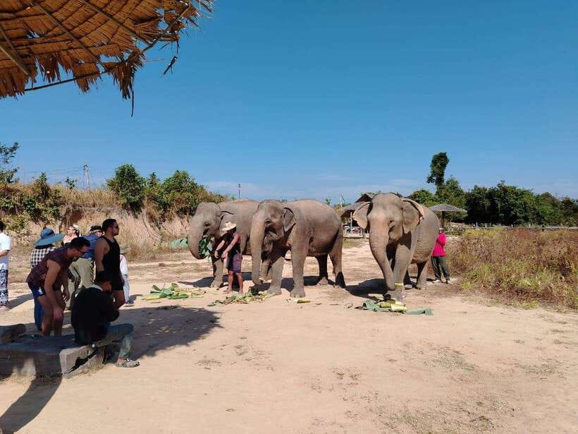 Siem Reap: Elephants & Apopo Rat Demining Private Trip - Who this fits, and who might want a different plan