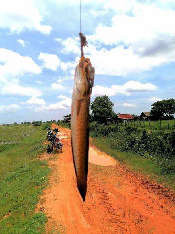 Siem Reap: Fishing in the rice fields, in the villages of Siem Reap - Fish handling and the local cooking option