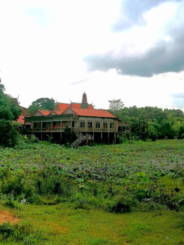 Siem Reap: Fishing in the rice fields, in the villages of Siem Reap - Market stop in Khmer life: quick context before you fish