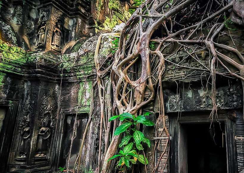 Siem Reap: Full-Day Angkor Wat Guided Tour with Sunset - Small-Group Guidance: Why This Tour Feels Different