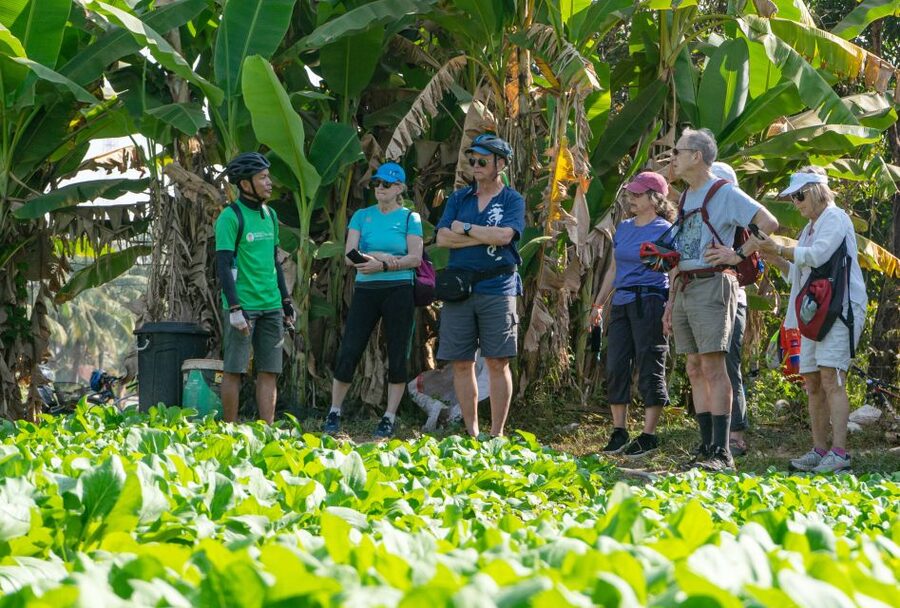 Siem Reap: Guided Countryside Bike Tour - Guides Who Make the Back Roads Feel Friendly