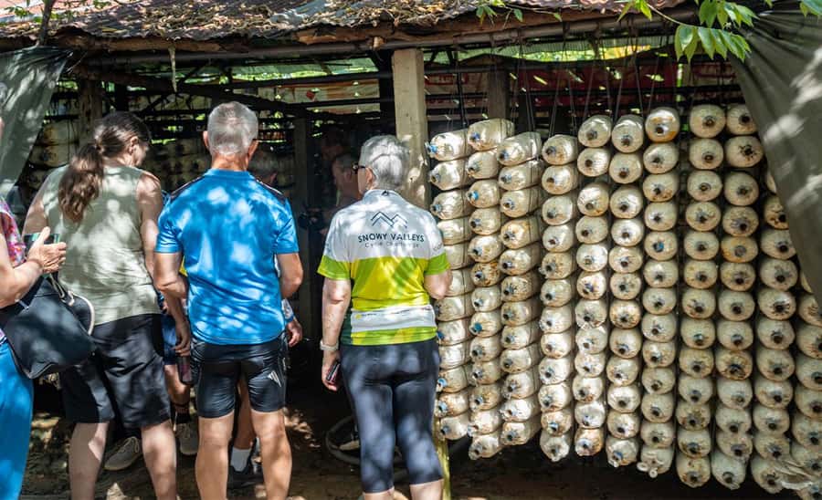 Siem Reap: Guided Countryside Bike Tour - How the Morning Unfolds, Rice Fields to Rice Wine