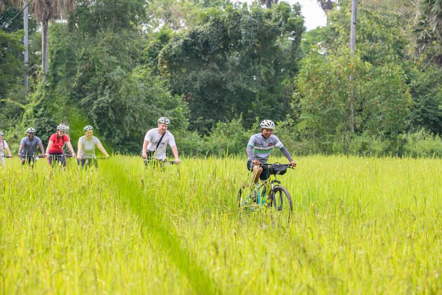 Siem Reap: Guided Countryside Bike Tour - Price and Value: What $35 Buys in a Half-Day