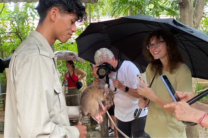 Siem Reap Guided Tour & Hero RATs at APOPO Visitor Center - APOPO Visitor Center and HeroRATs, the main event