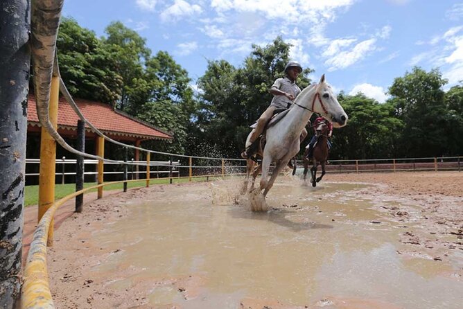 Siem Reap Happy Horse Riding Free Pick-up & Drop-off - Key Highlights To Know Before You Go