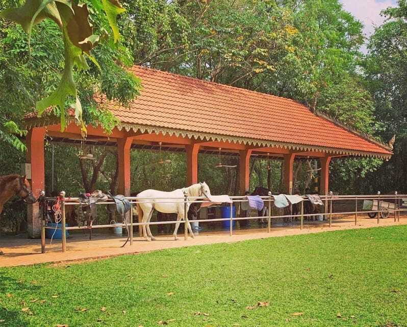 Siem Reap Happy Horse Riding Free Pick-up & Drop-off - Small Rules That Affect Your Comfort