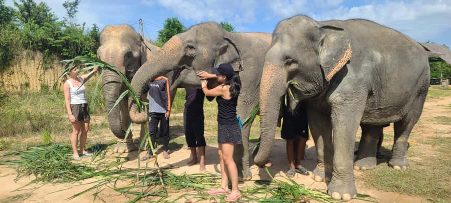 Siem Reap: Kulen Elephant Forest Guided Tour - Key Things That Make This Tour Worth Your Time