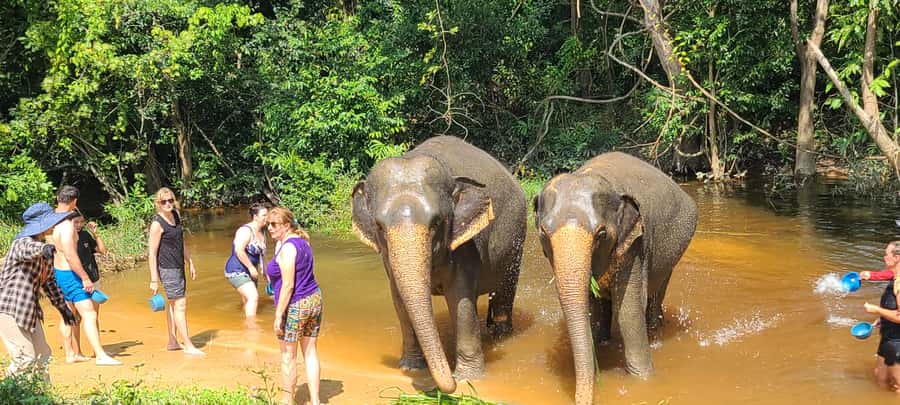 Siem Reap: Kulen Elephant Forest Guided Tour - Pond time, bathing, and the best kind of photo opportunities