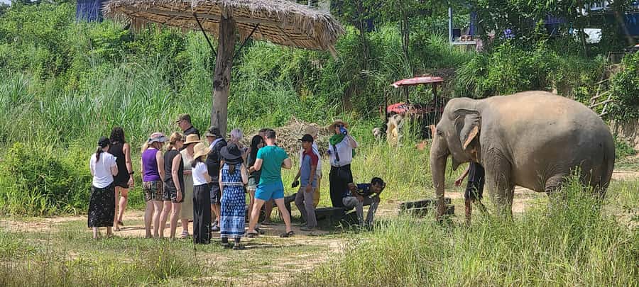 Siem Reap: Kulen Elephant Forest Guided Tour - Traditional Khmer lunch and included snacks: timing, quality, and allergies