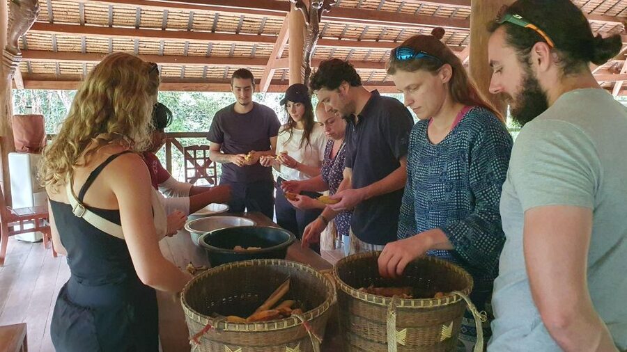 Siem Reap: Kulen Elephant Forest Guided Tour - Price and value of $128: what you’re paying for (and why it can be worth it)