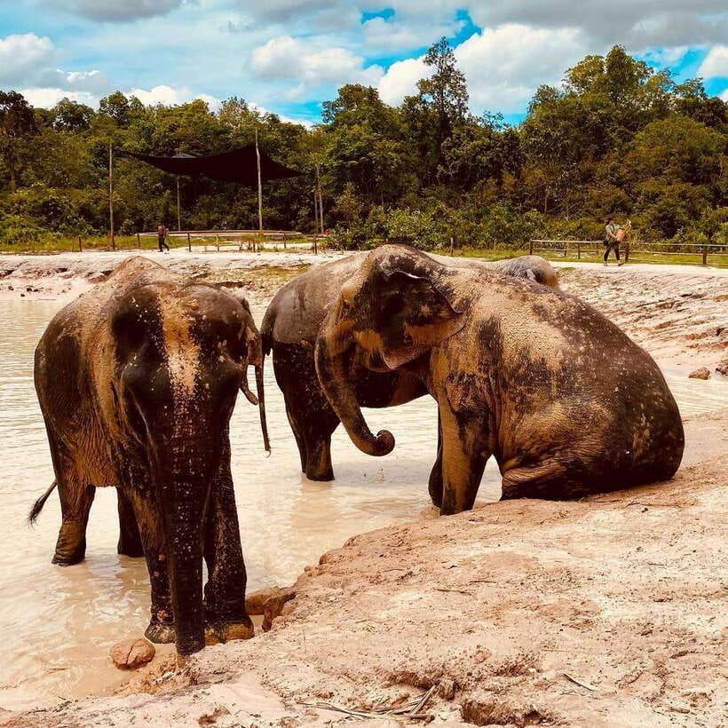 Siem Reap: Kulen Elephant Forest & Tonlesap Lake - Key points to know before you go