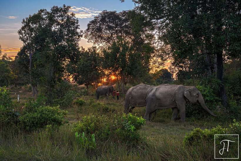 Siem Reap: Kulen Elephant Forest & Tonlesap Lake - The day’s rhythm from Siem Reap: what 7 hours really feels like