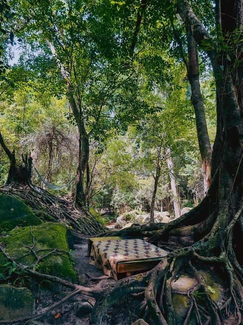 Siem Reap: Kulen Mountain, Beng Mealea, and Kampong Phluk - What I’d watch for on this kind of day tour