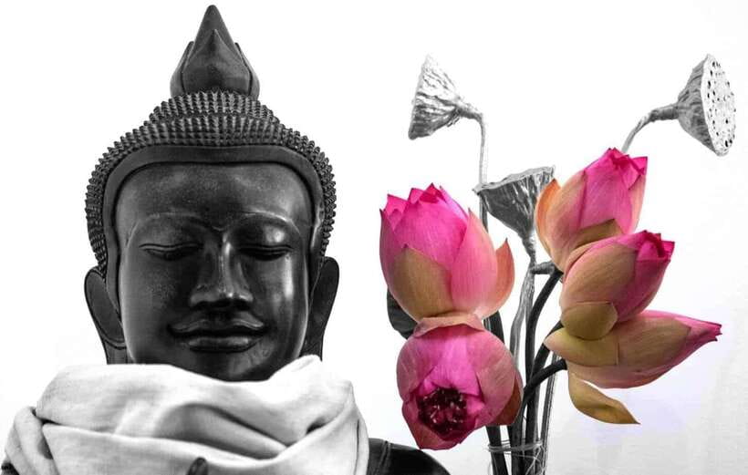 Siem Reap Lotus Silk Farm Discovery tour & Lake experience - Getting out of town: Biolab Cafe meet-up and the easy start