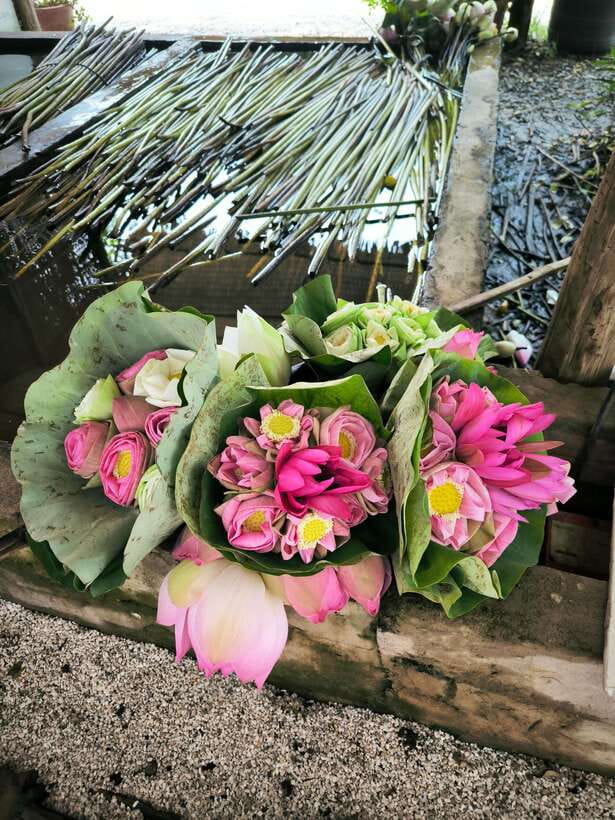 Siem Reap Lotus Silk Farm Discovery tour & Lake experience - Comfort, photos, and what to bring