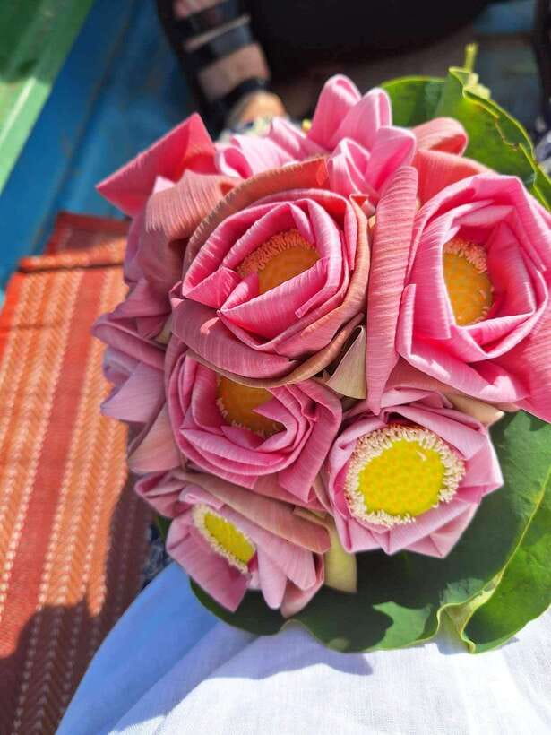 Siem Reap Lotus Silk Farm Discovery tour & Lake experience - Who should book, and who might skip