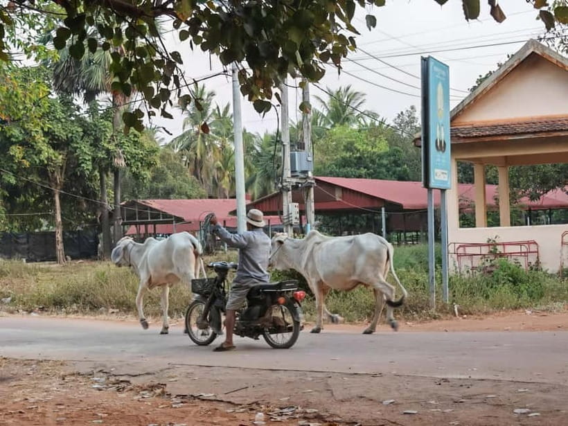 Siem Reap: Monk Blessings and Village Life Scooter Tour - What to bring so the day stays easy