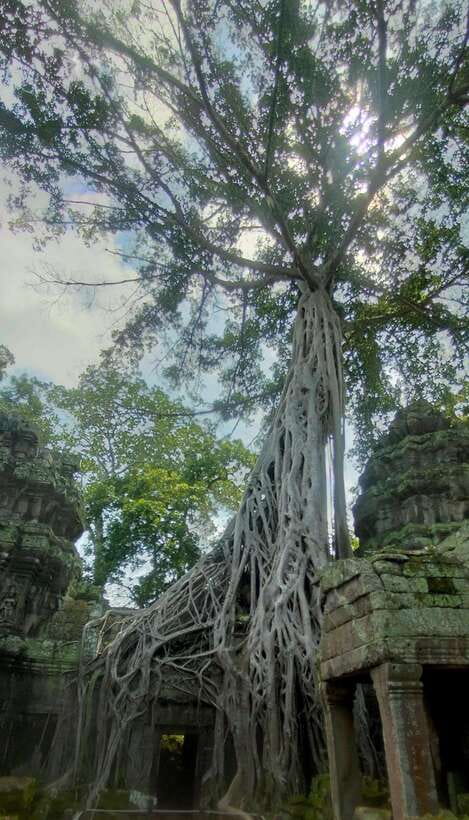 Siem Reap Private Tour: Angkor Wat Sunrise And Banteay Srei - Pickup in Siem Reap, comfort in the AC vehicle, and what’s included