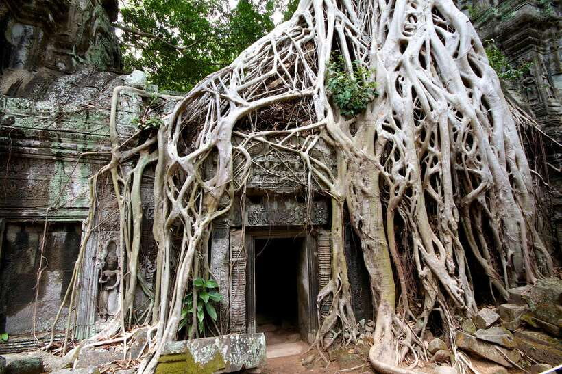 Siem Reap: Private Tour of Angkor Complex - Key Things I’d Prioritize on This Angkor Private Tour