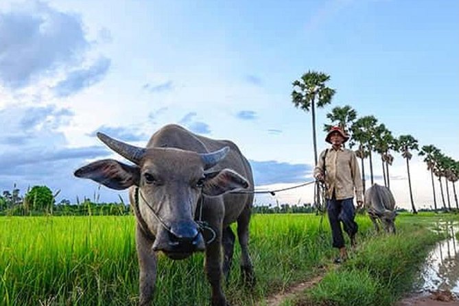 Siem Reap: Silk Farm & Countryside Offbeat Jeep Tour - Vintage jeep countryside time: why this tour feels off the main road