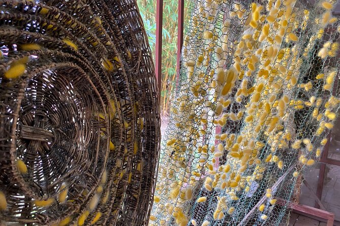 Siem Reap: Silk Farm & Countryside Offbeat Jeep Tour - Silk farm visit: the traditional hands-on process