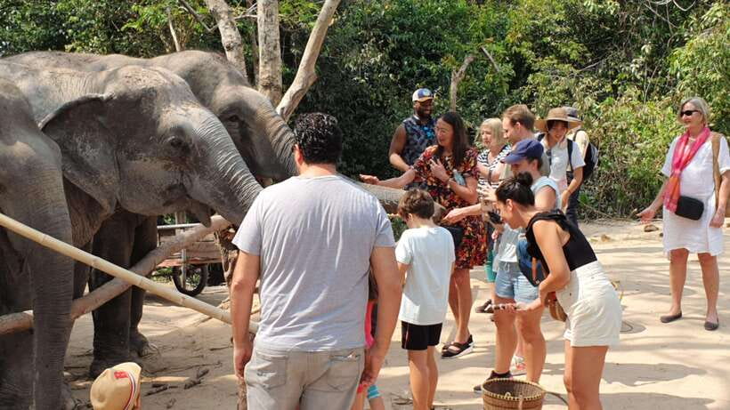 Siem Reap: Small Group Tour of Kulen Elephant Forest - Why Kulen Elephant Forest Feels More Natural Than a Standard Animal Stop