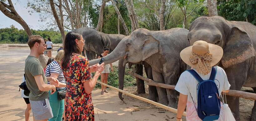 Siem Reap: Small Group Tour of Kulen Elephant Forest - Transportation Reality: Shuttle Ride Time and Comfort Tips