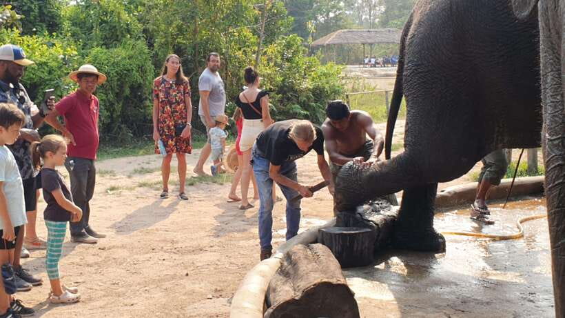 Siem Reap: Small Group Tour of Kulen Elephant Forest - What to Pack for Kulen: Shoes, Clothes, and a Quick Change Plan