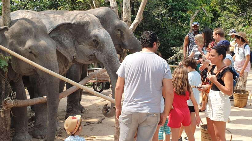 Siem Reap: Small Group Tour of Kulen Elephant Forest - Elephant Feeding Time: Handmade Snacks and Getting Close the Right Way