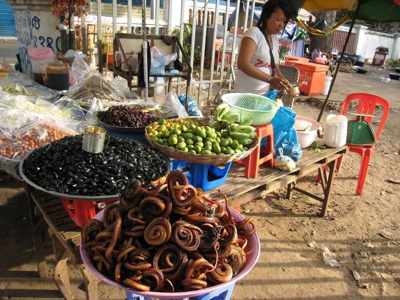 Siem Reap Street Foods Tour by Tuk Tuk with Personal Guide - The Menu Reality Check: Vegetarian Options and the Adventurous Side
