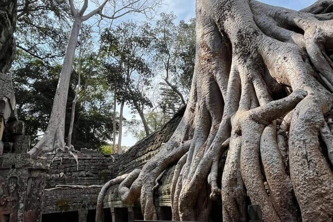 Siem Reap Temple Tuktuk Tour: Explore Angkor Wat and beyond. - Do You Need an Inside Temple Guide?