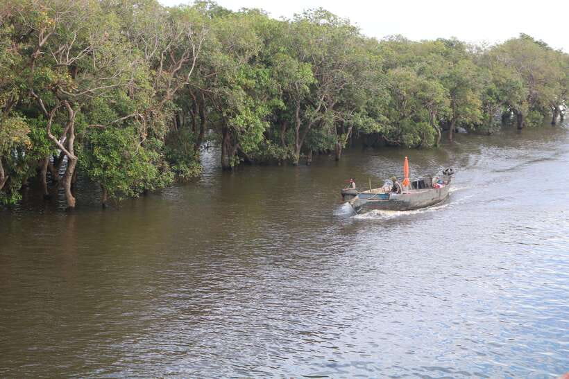 Siem Reap: Tonle Sap Lake - Fishing Village & Flooded Forest - Back roads to town: rice, fish paste, ducks, and the lake economy