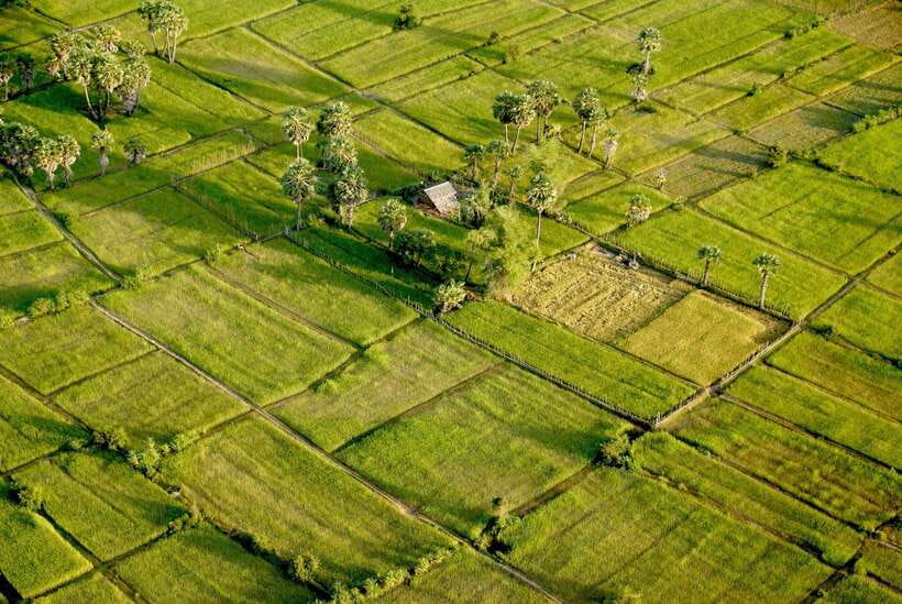Sky Venture Microlight Siem Reap - Why a microlight view feels different above Angkor