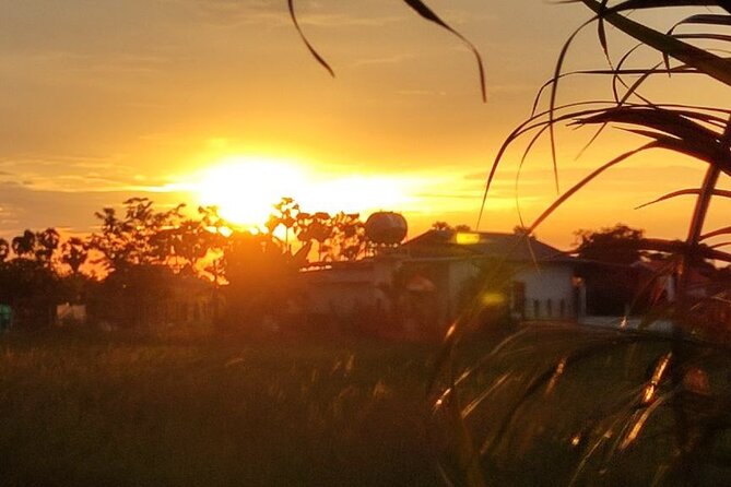 Small Group Countryside Bike Tours, Sunset & Picnic - Price and value for a three-hour countryside experience