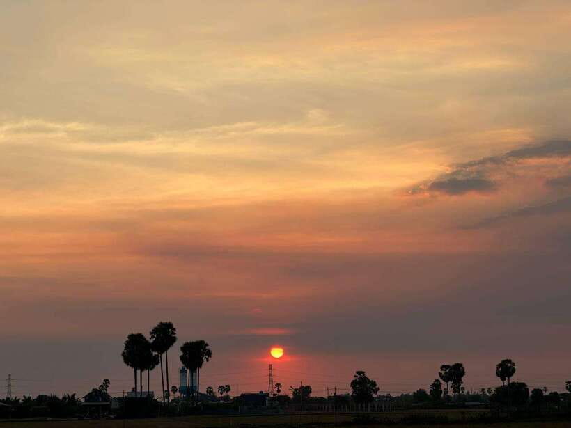 Small Group Countryside Sunset Bike Tours - Rice fields and lotus farms: where the countryside actually shows up
